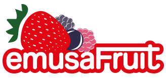Emusa Fruit-Producción agrícola especializada en frutos rojos.